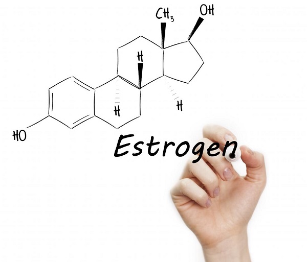 Bổ sung các estrogen cho cơ thể