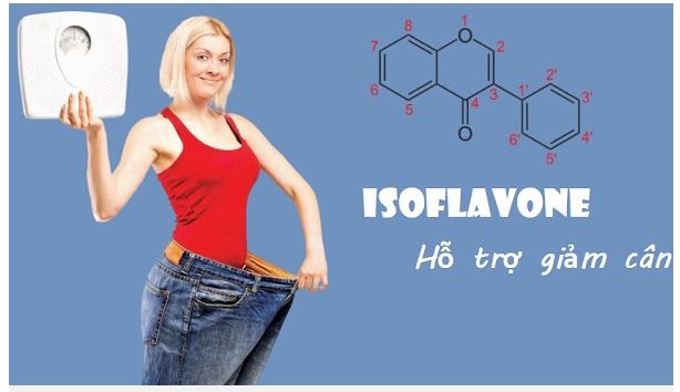 isoflavones, isoflavone là gì, isoflavone trong đậu nành, isoflavone có ở đâu, isoflavone là chất gì, tinh chất isoflavone, isoflavones có trong thực phẩm nào, isoflavone mầm đậu nành, isoflavone trong đậu nành có tác dụng gì, nano isoflavone, isoflavone review 
